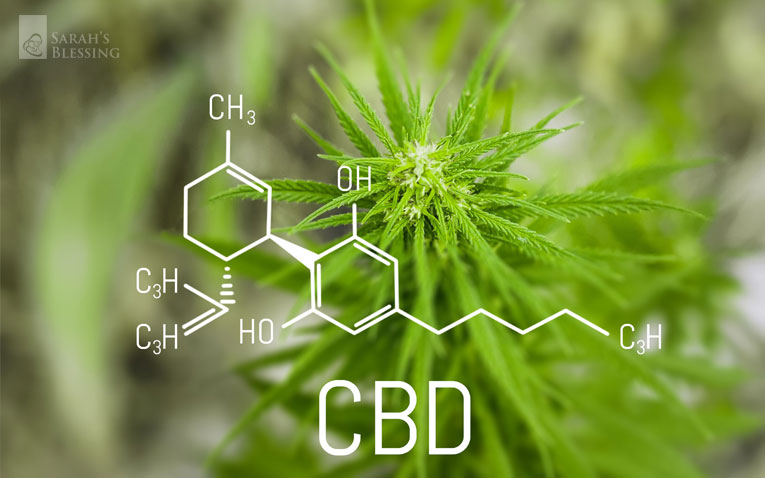 CBD mit dem Rauchen aufzuhören